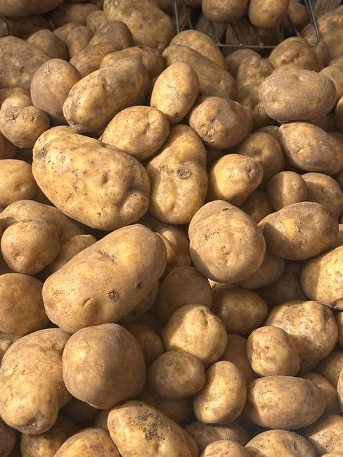 Hortifruti